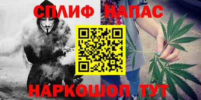 крисы Тверь