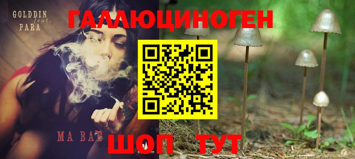 Псилоцибиновые грибы Psilocybine cubensis  Галлюциногенные грибы прущие грибы  Вход с VPN  Орск 